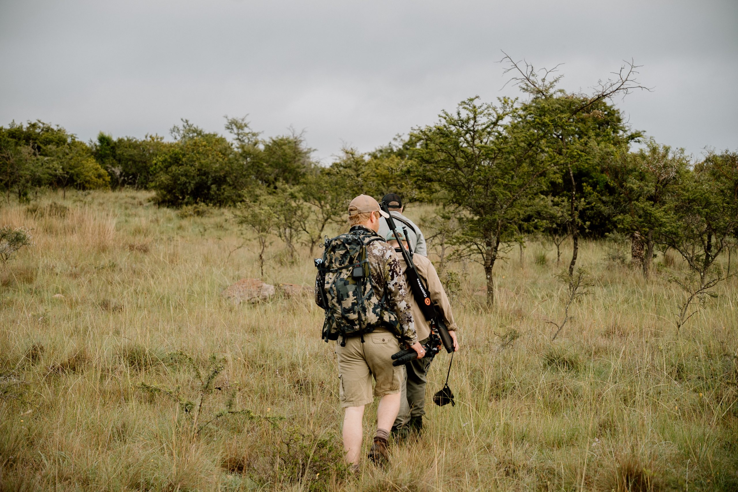 Local plains game animal photo from the Lalapa Safaris media library