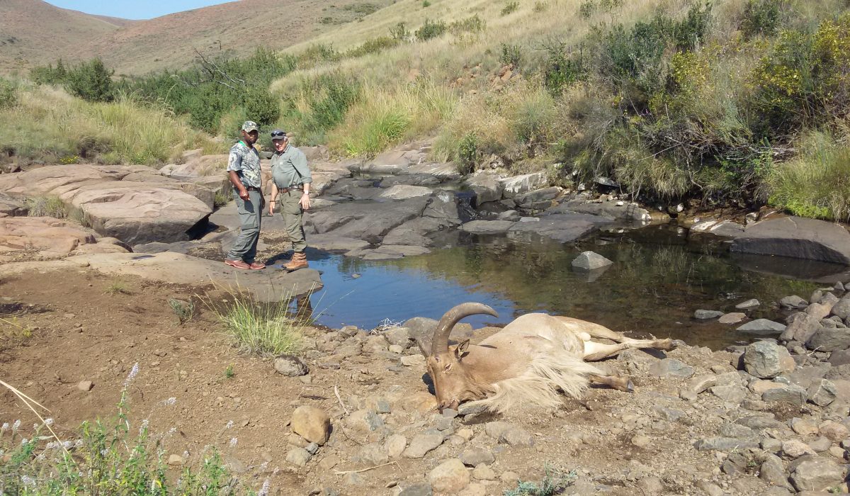 Eastern Cape hunting terrain for German hunters planning South Africa