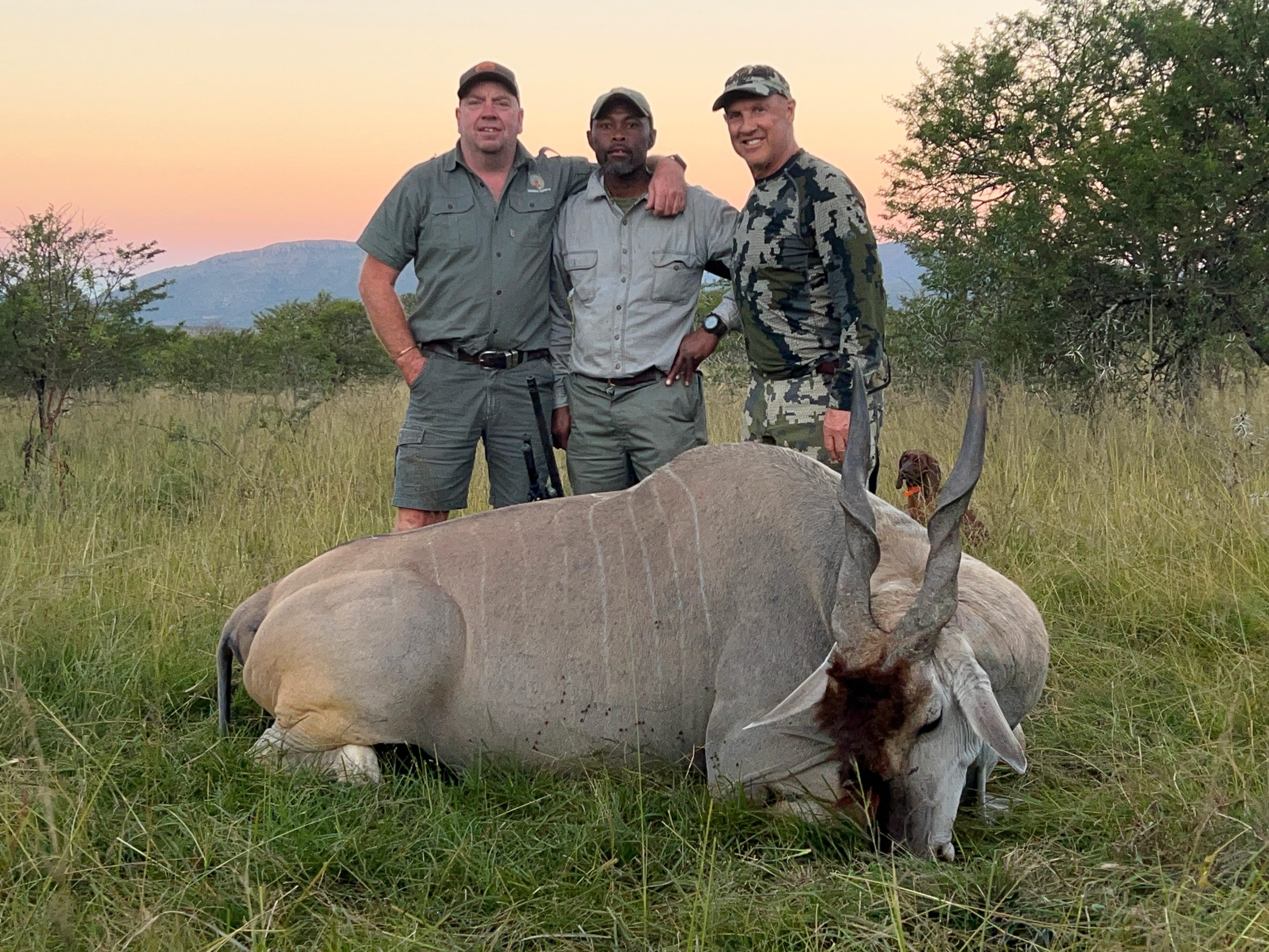 Plains game hunting safari terrain in South Africa