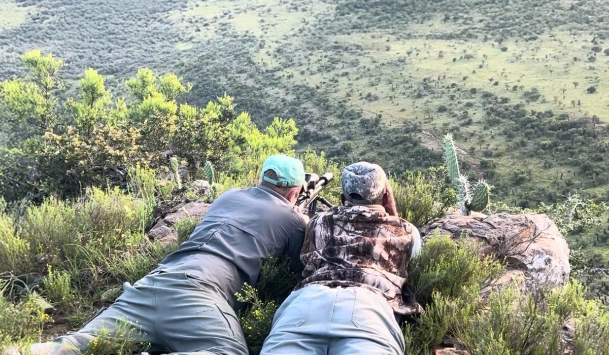 Rifle hunting preparation for a South African safari
