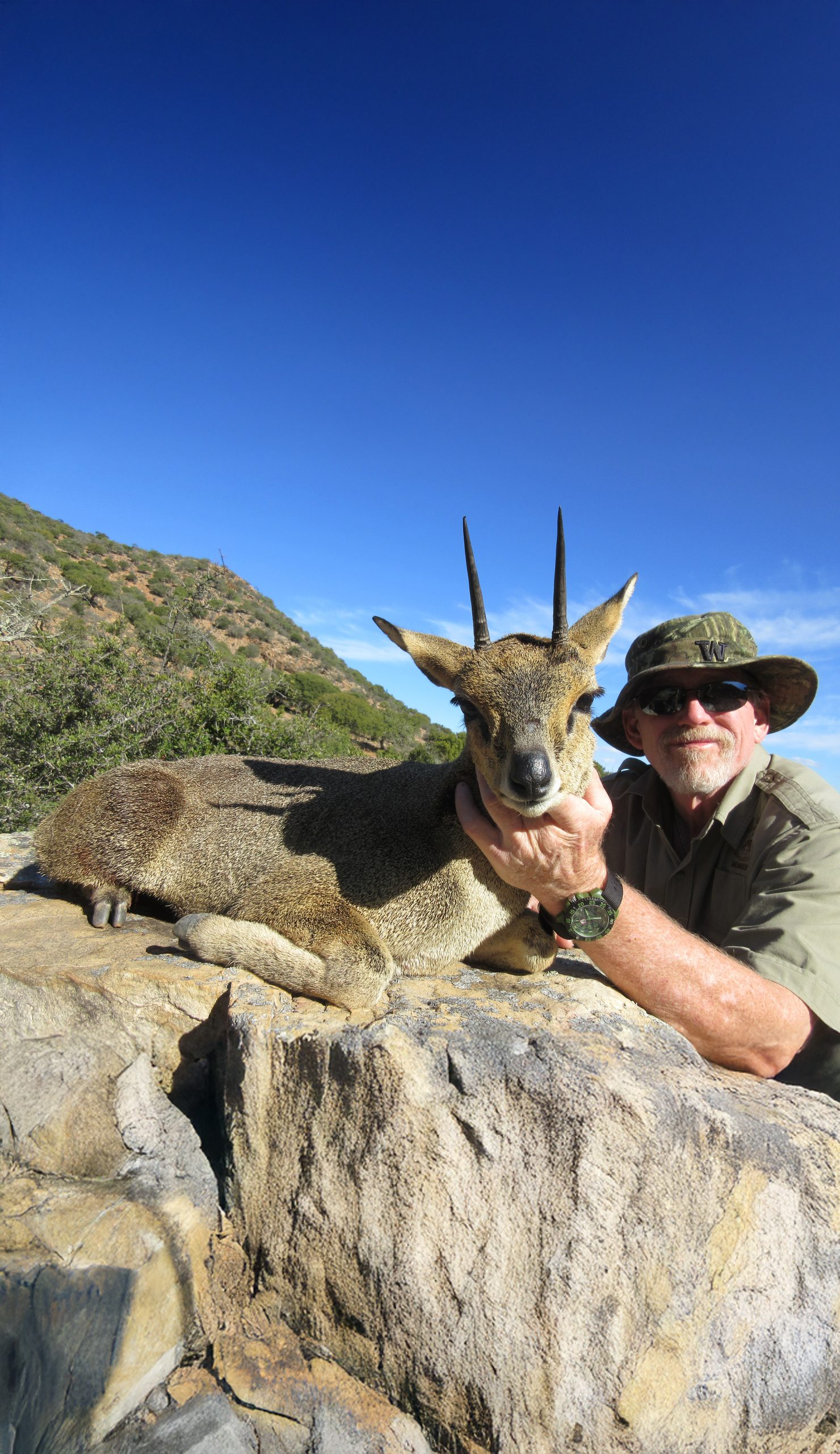 Tiny Ten specialist hunting safari species in South Africa