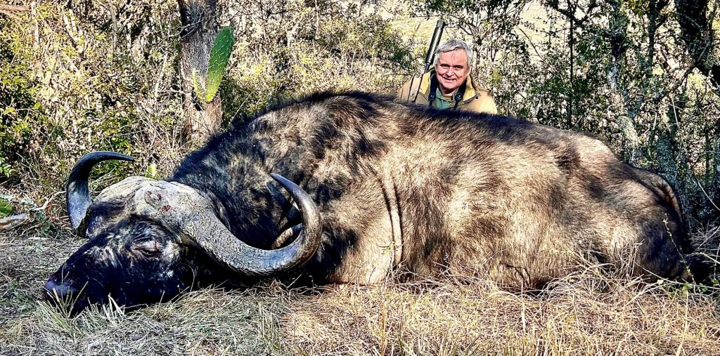 Cape Buffalo trophy hunt Mpofu Reserve Eastern Cape South Africa